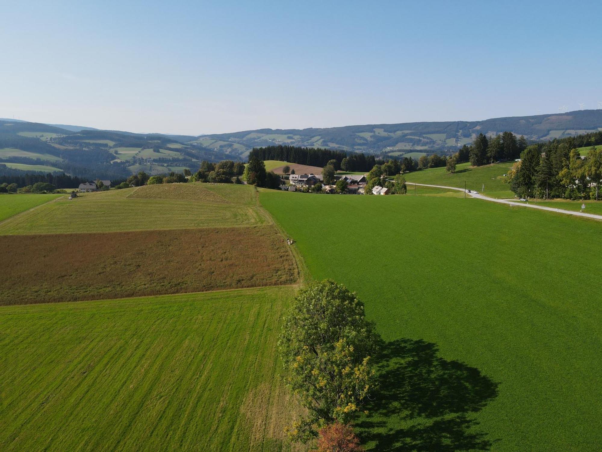 Biohof Kroisleitner Sankt Jakob im Walde Exteriér fotografie