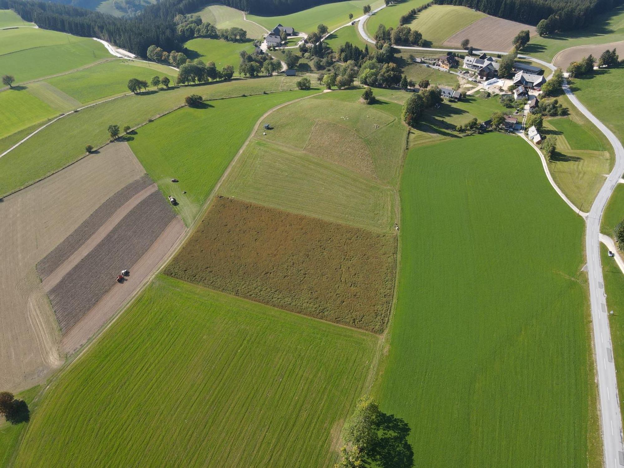 Biohof Kroisleitner Sankt Jakob im Walde Exteriér fotografie