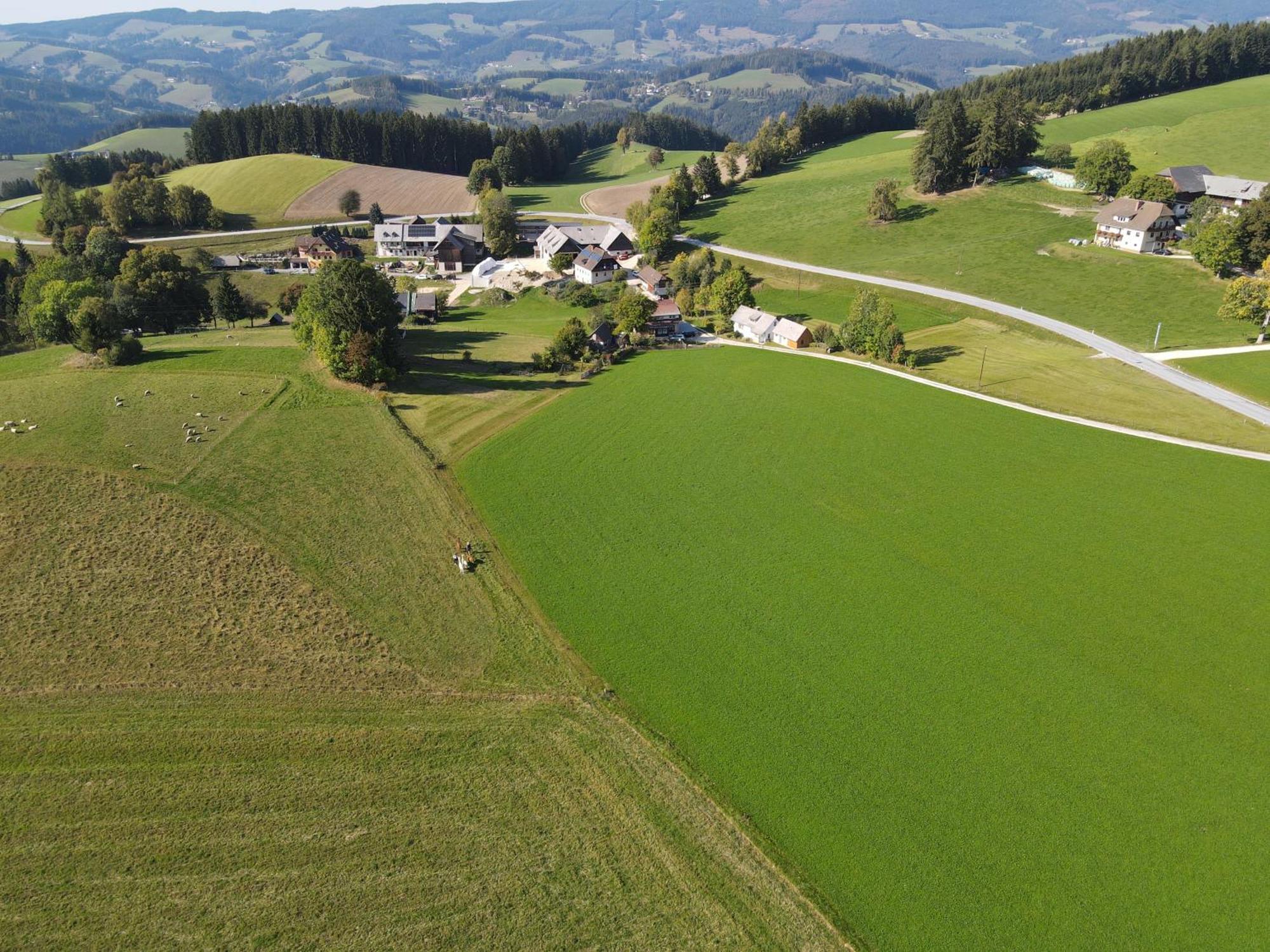 Biohof Kroisleitner Sankt Jakob im Walde Exteriér fotografie