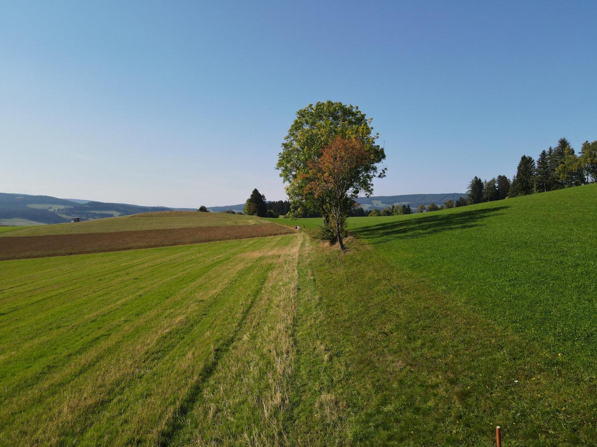 Biohof Kroisleitner Sankt Jakob im Walde Exteriér fotografie