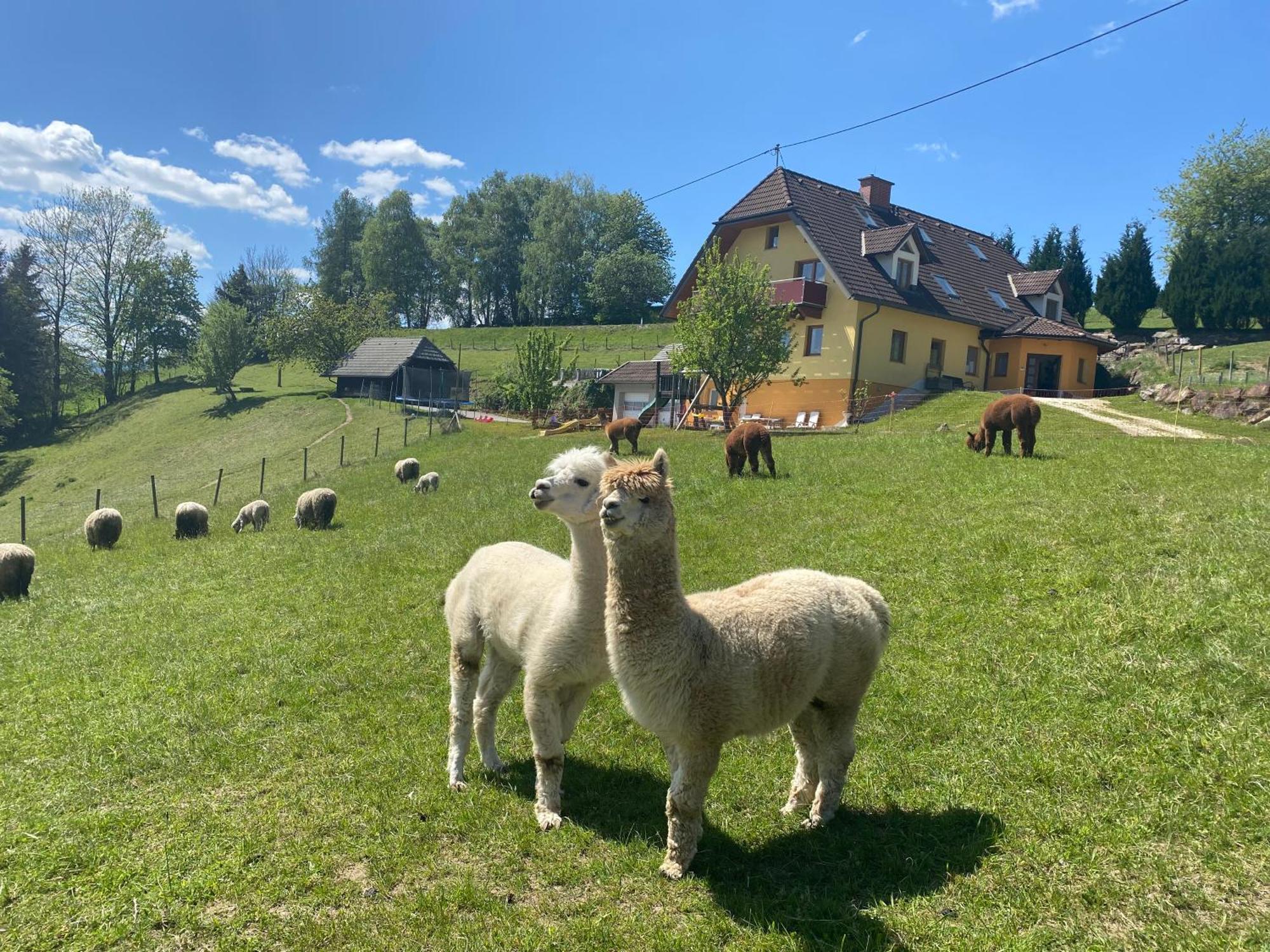 Biohof Kroisleitner Sankt Jakob im Walde Exteriér fotografie